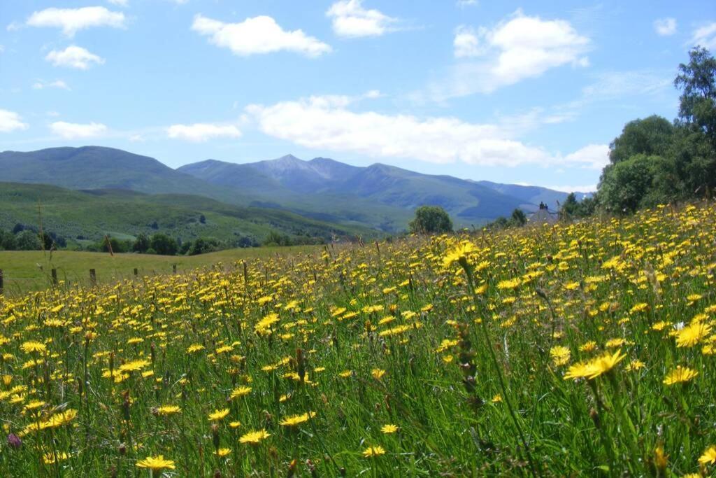 Glas Doire Lodge, Glen Roy Nature Reserve Ройбридж Екстериор снимка